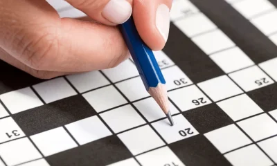 Sassy Little Brat nyt: Crossword Puzzle Clues & Answers