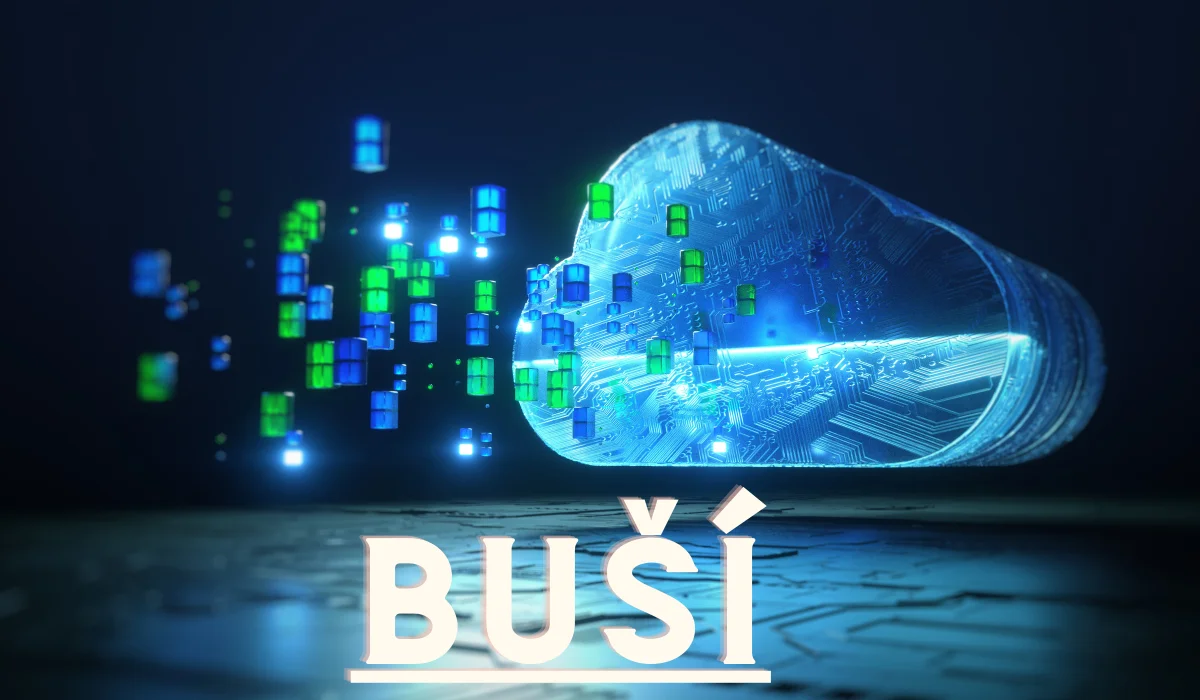 Exploring Buší: The Innovative Solution Revolutionizing Digital Communication