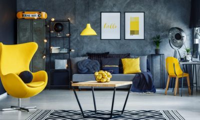 Discover the Latest Home Decor Trends on Homarazzi