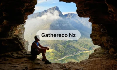 Gathereco NZ: Leading the Charge in Sustainable Living