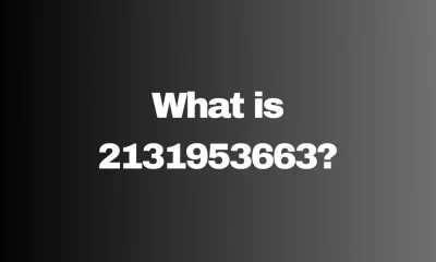 2131953663: Understanding the Mystery Behind the Number