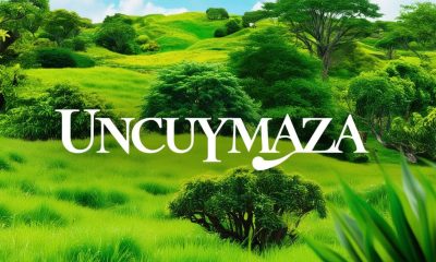 Uncuymaza: A Unique Blend of Tradition and Innovation