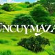 Uncuymaza: A Unique Blend of Tradition and Innovation