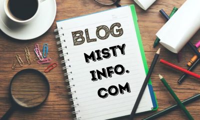 Unlocking Success with Mistyinfo.com | Blog Related Business Ideas,Trends and News - Koto- Sushibar -